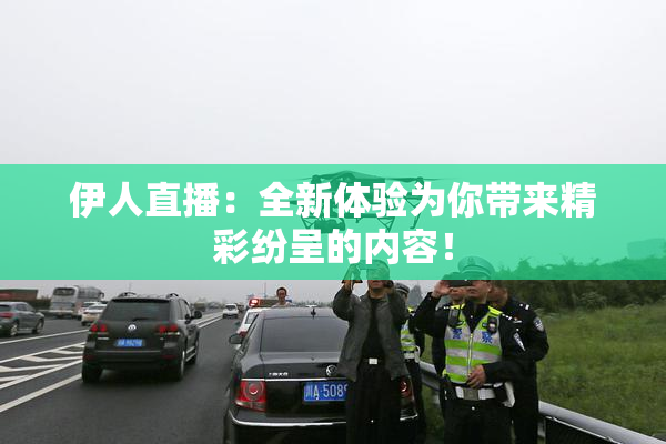 伊人直播：全新体验为你带来精彩纷呈的内容！