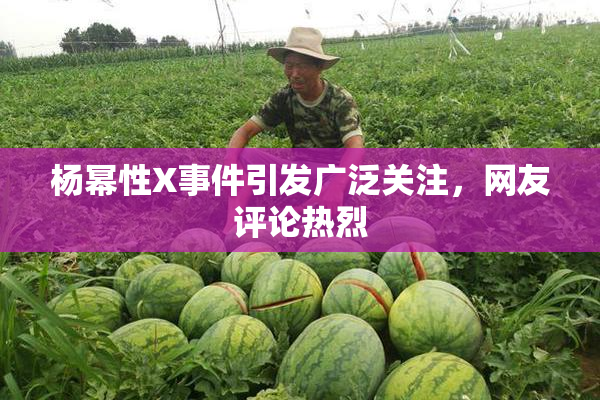 杨幂性X事件引发广泛关注，网友评论热烈