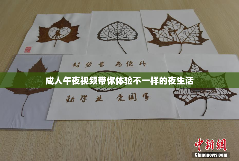 成人午夜视频带你体验不一样的夜生活
