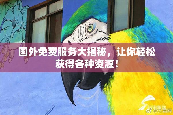 国外免费服务大揭秘，让你轻松获得各种资源！