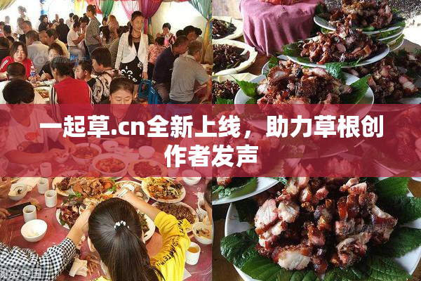 一起草.cn全新上线，助力草根创作者发声