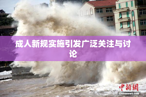 成人新规实施引发广泛关注与讨论