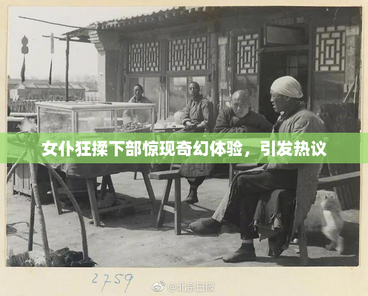 女仆狂揉下部惊现奇幻体验，引发热议