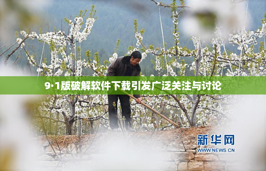 9·1版破解软件下载引发广泛关注与讨论