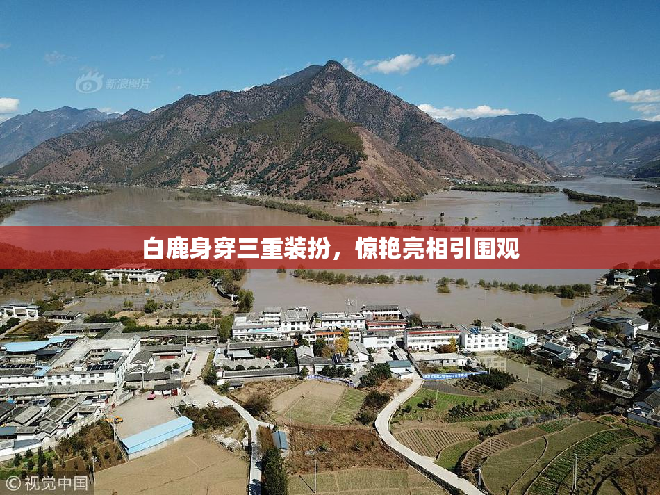 白鹿身穿三重装扮，惊艳亮相引围观