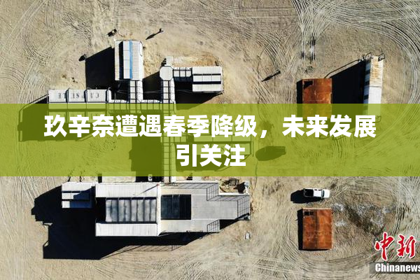 玖辛奈遭遇春季降级，未来发展引关注