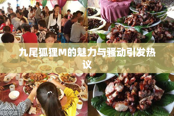 九尾狐狸M的魅力与骚动引发热议
