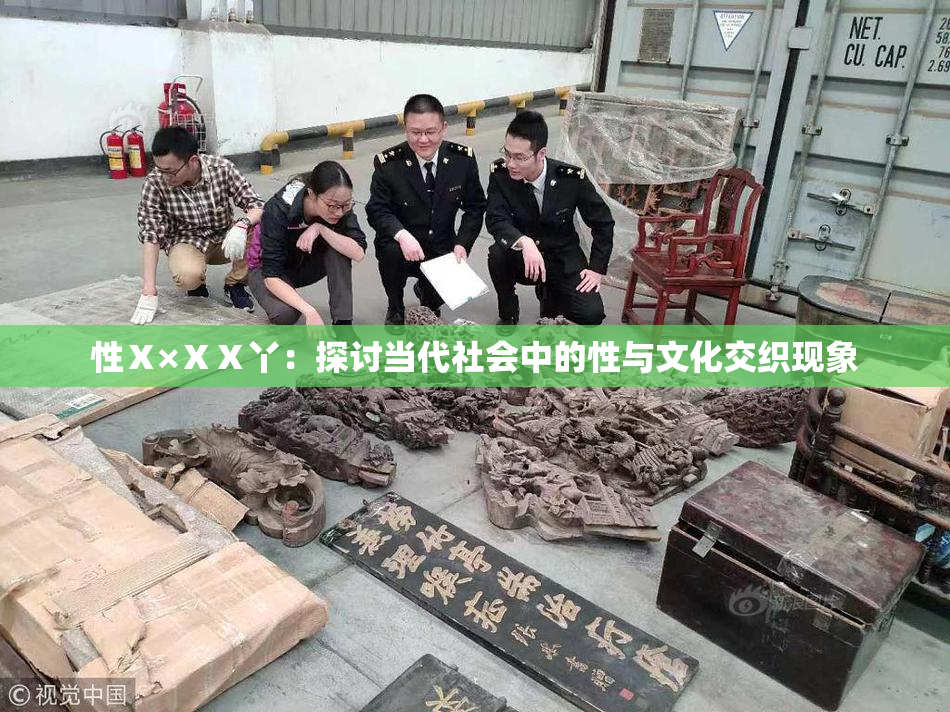 性Ⅹ×ⅩⅩ丫：探讨当代社会中的性与文化交织现象