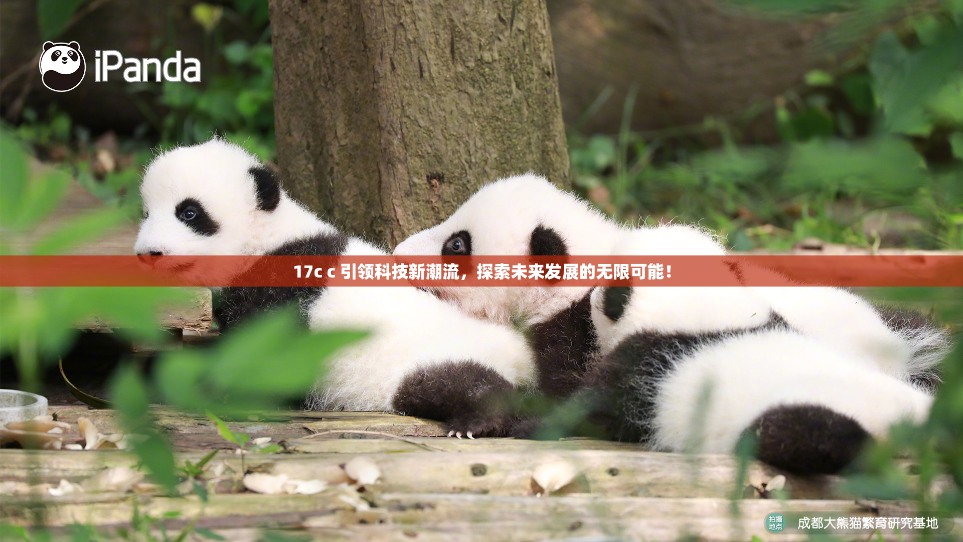 17c c 引领科技新潮流，探索未来发展的无限可能！