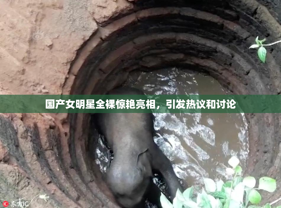 国产女明星全裸惊艳亮相，引发热议和讨论