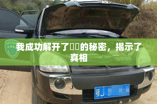 我成功解开了妺妺的秘密，揭示了真相