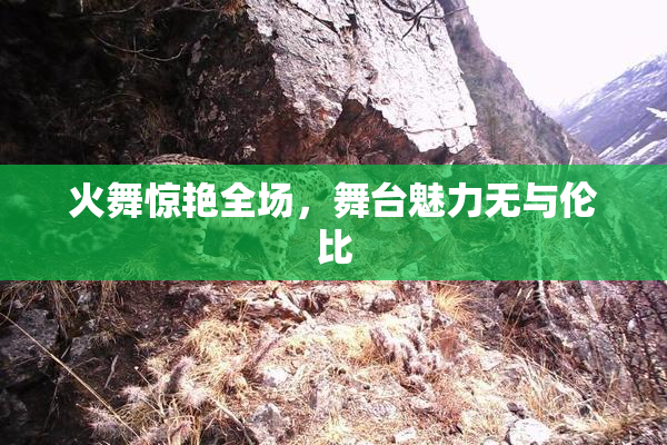 火舞惊艳全场，舞台魅力无与伦比