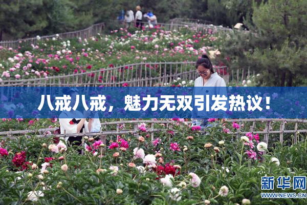 八戒八戒，魅力无双引发热议！