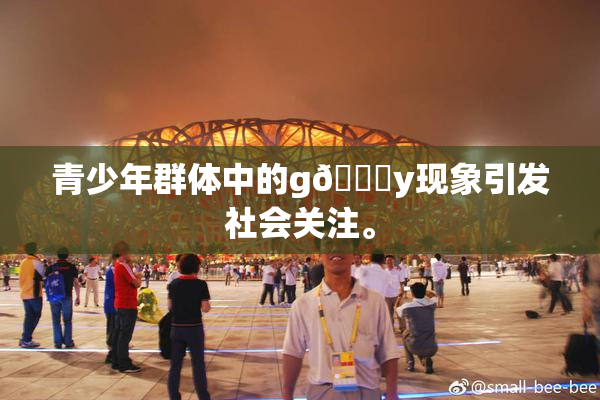 青少年群体中的g🈚y现象引发社会关注。