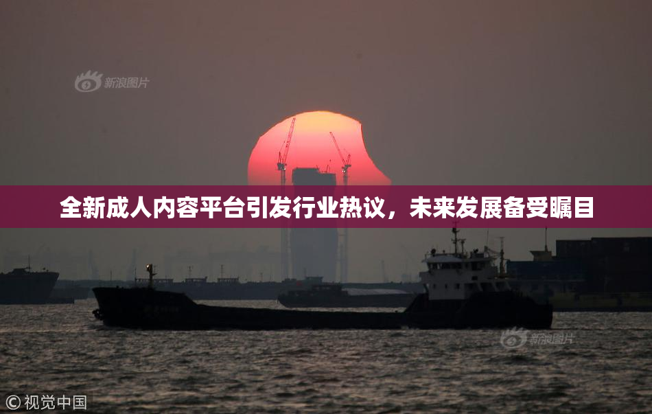 全新成人内容平台引发行业热议，未来发展备受瞩目