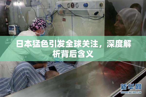 日本猛色引发全球关注，深度解析背后含义