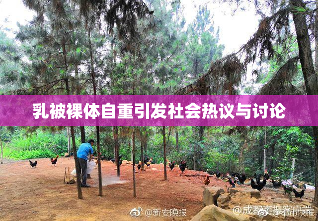 乳被裸体自重引发社会热议与讨论