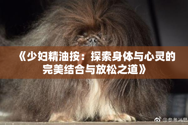 《少妇精油按：探索身体与心灵的完美结合与放松之道》