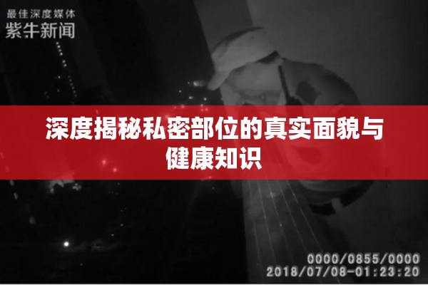 深度揭秘私密部位的真实面貌与健康知识