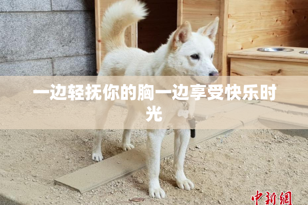 一边轻抚你的胸一边享受快乐时光