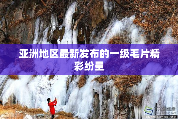 亚洲地区最新发布的一级毛片精彩纷呈