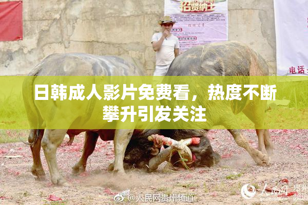 日韩成人影片免费看，热度不断攀升引发关注