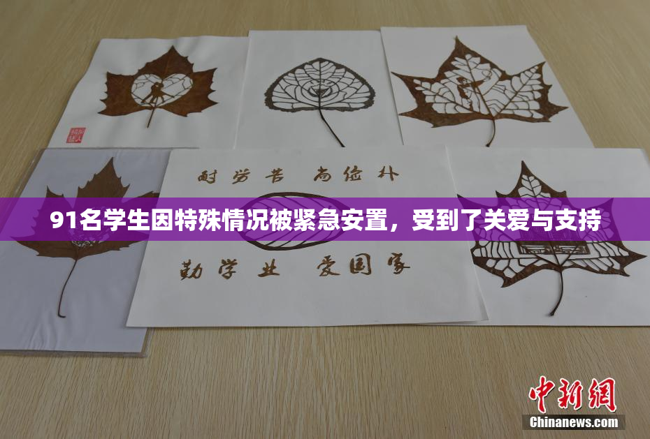 91名学生因特殊情况被紧急安置，受到了关爱与支持