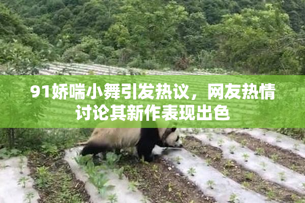 91娇喘小舞引发热议，网友热情讨论其新作表现出色