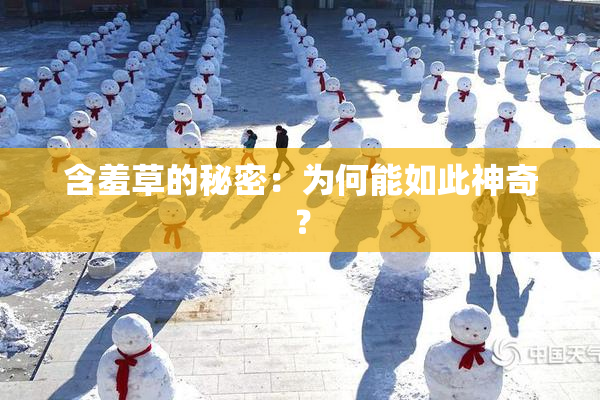含羞草的秘密：为何能如此神奇？