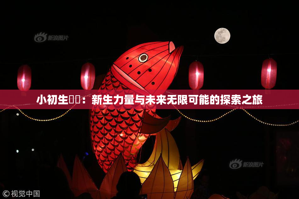 小初生❌‌：新生力量与未来无限可能的探索之旅