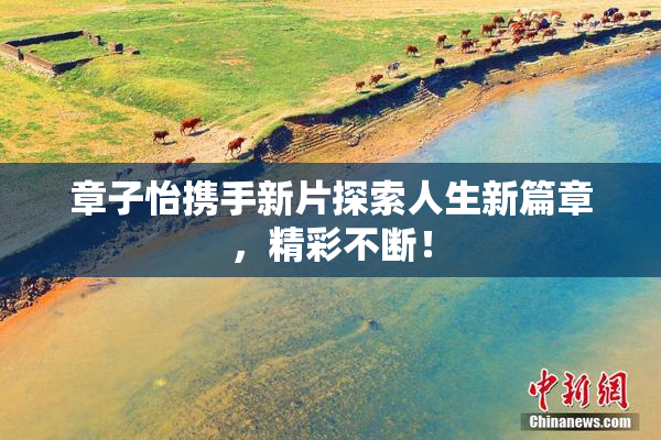 章子怡携手新片探索人生新篇章，精彩不断！