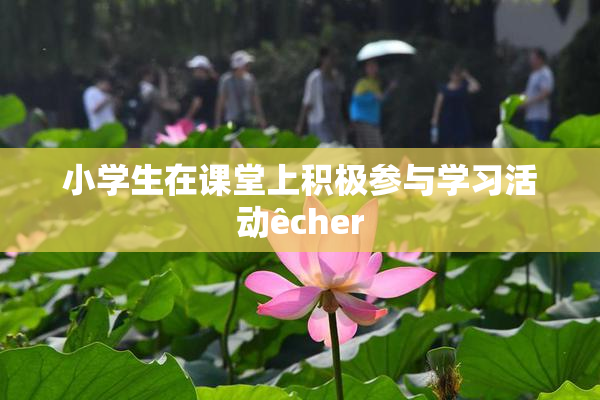 小学生在课堂上积极参与学习活动êcher