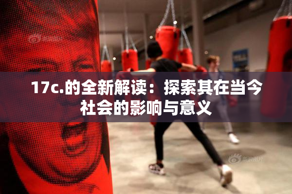 17c.的全新解读：探索其在当今社会的影响与意义