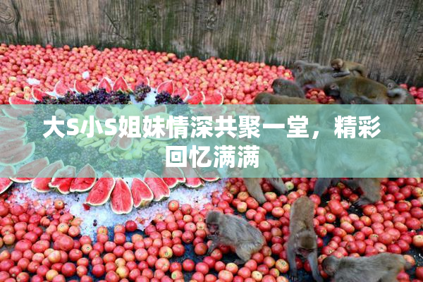 大S小S姐妹情深共聚一堂，精彩回忆满满