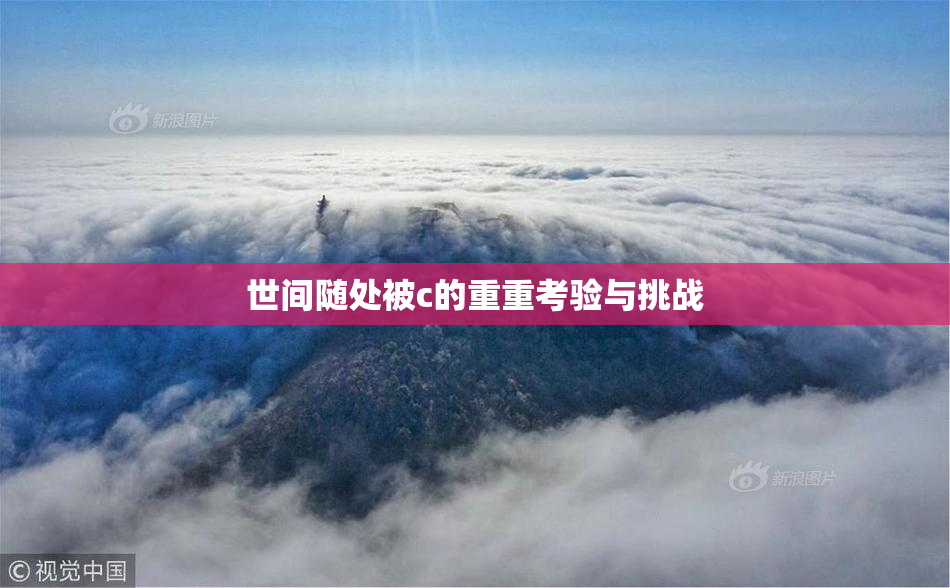 世间随处被c的重重考验与挑战