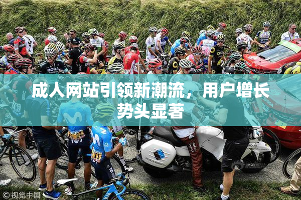 成人网站引领新潮流，用户增长势头显著