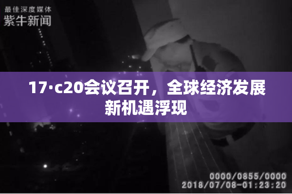 17·c20会议召开，全球经济发展新机遇浮现