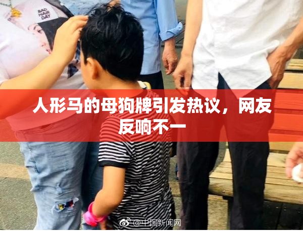 人形马的母狗牌引发热议，网友反响不一