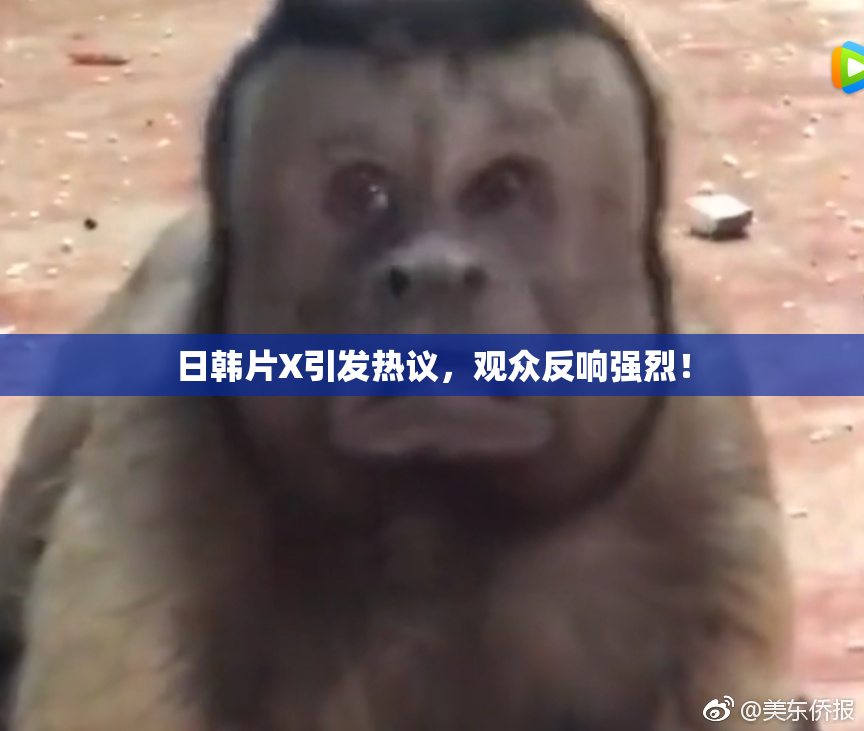 日韩片X引发热议，观众反响强烈！