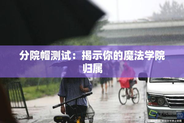分院帽测试：揭示你的魔法学院归属