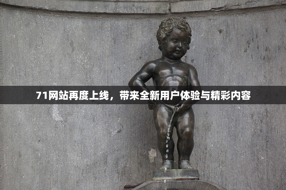 71网站再度上线，带来全新用户体验与精彩内容