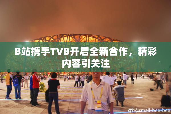 B站携手TVB开启全新合作，精彩内容引关注