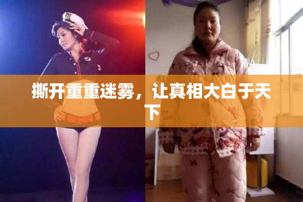 撕开重重迷雾，让真相大白于天下