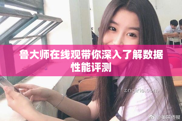 鲁大师在线观带你深入了解数据性能评测