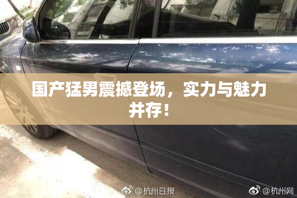国产猛男震撼登场，实力与魅力并存！