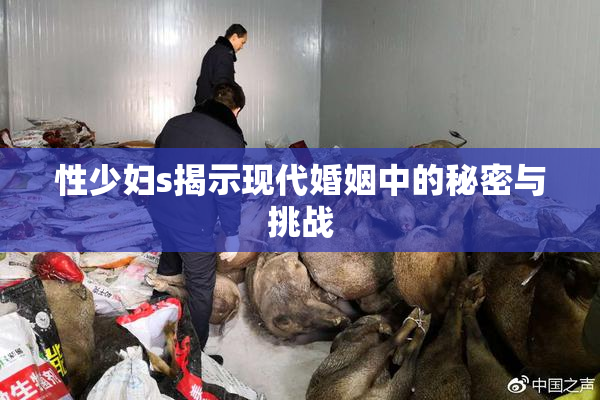 性少妇s揭示现代婚姻中的秘密与挑战