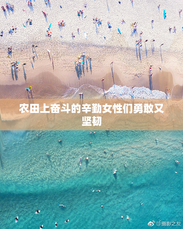 农田上奋斗的辛勤女性们勇敢又坚韧