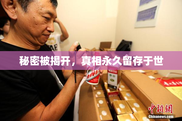 秘密被揭开，真相永久留存于世