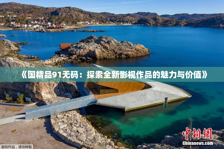 《国精品91无码：探索全新影视作品的魅力与价值》