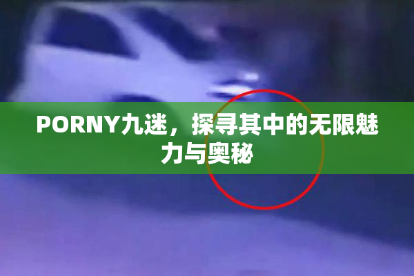 PORNY九迷，探寻其中的无限魅力与奥秘